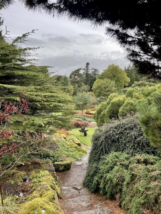 Royal Botanic Garden